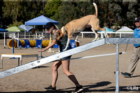 Candid photos from Brookside agility 9-23-23 by Lila